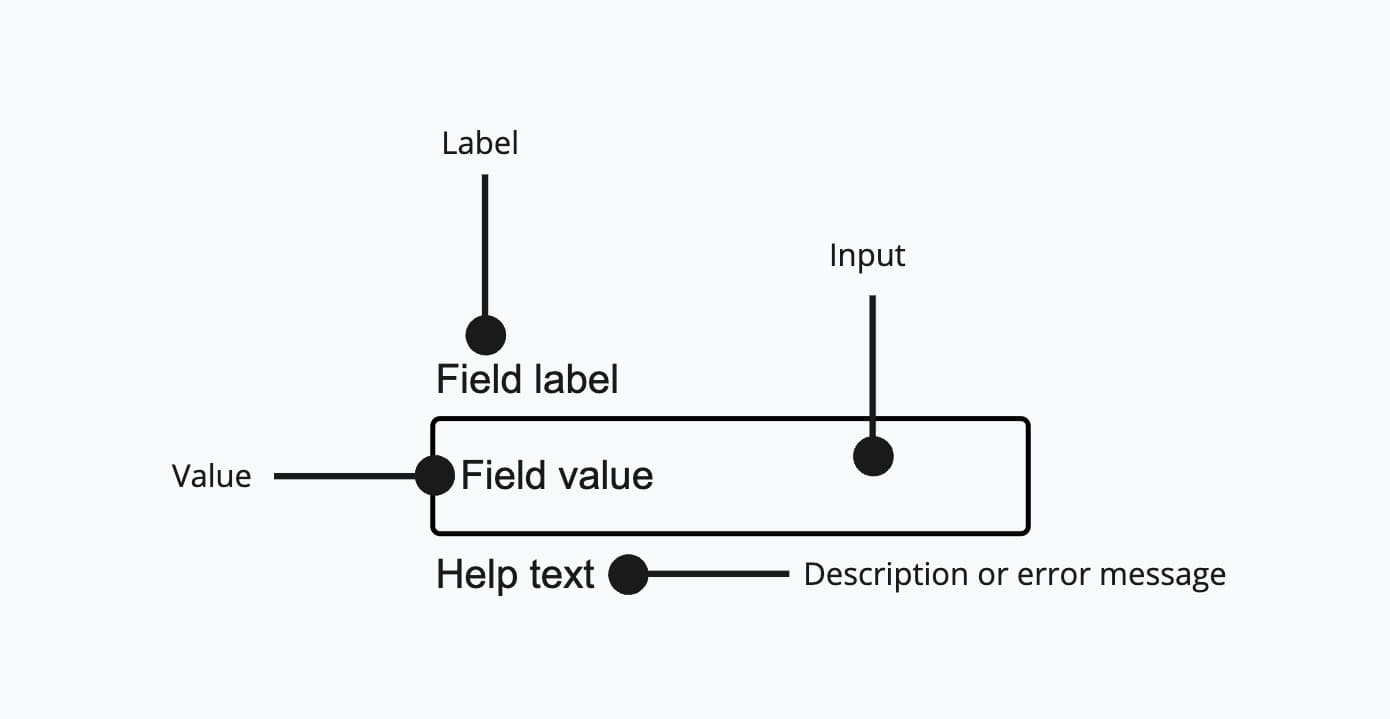 Anatomy of table